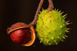 Top 10 Real Money Fruit Slots: Tested & Ranked for Indian Players (2026)